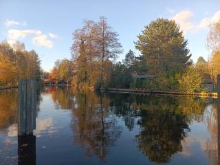 Ferienwohnung - Ankerplatz am Werlsee - 9