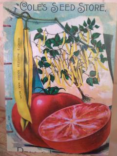 VISTA AL MAR departamento MAR DEL PLATA - 1