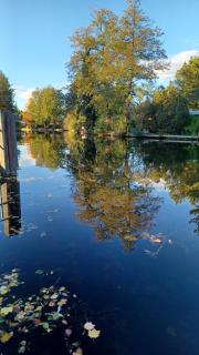 Ferienwohnung - Ankerplatz am Werlsee - 7
