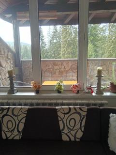 Спа,ски апартамент Дайли, Стрийм Ризорт Пампорово - 4