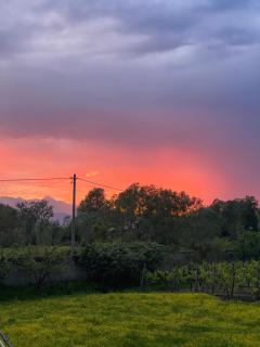 Home Sweet Home Shkoder - 2