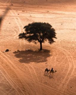 Camp in the natural reserve & tours - 1