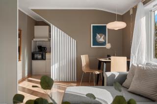 Basecamp Dramsvegen Aurora Viewpoint - 6