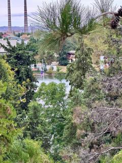 Apartment close to the boulevard - 1