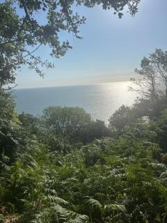 Watcombe Hideaway Romantic Coastal Retreat - 5