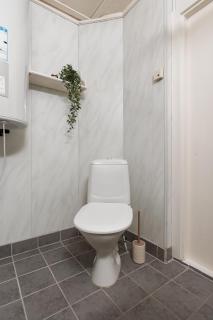 Basecamp Dramsvegen Aurora Viewpoint - 2