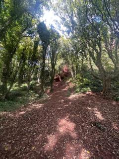 Watcombe Hideaway Romantic Coastal Retreat - 9