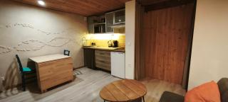 CocooNid Studio indépendant proche tram Eurexpo Lyon - 7