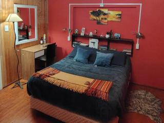 100 años ciprés - 5