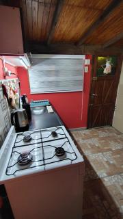 100 años ciprés - 6