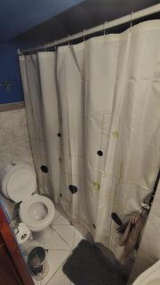 100 años ciprés - 8