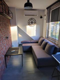 Ceglany Apartament Kościuszki 133 - 9