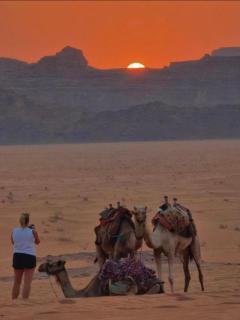 Wadi Rum Bubbles Luxury Camp - 7
