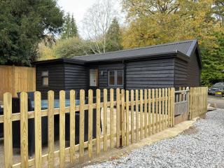 Blackwood - Peaceful cottage surround by woodlands - 9