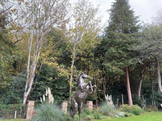 Blackwood - Peaceful cottage surround by woodlands - 6