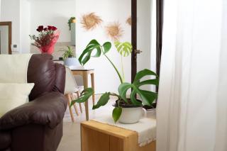 Casa Vacanza la Civetta - 7