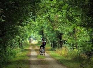 Studio Cosy en Conteneur-Maritime - 3