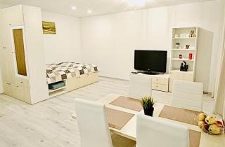 M&M Apartment I near Panevezys - 6