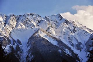 Pemberton Tree Lodge - 4