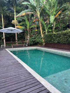 Pool amid the green - 9