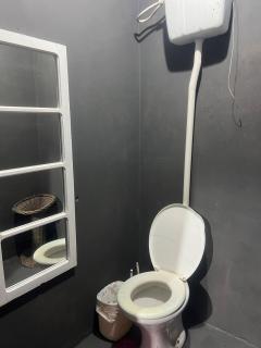 Pool amid the green - 7