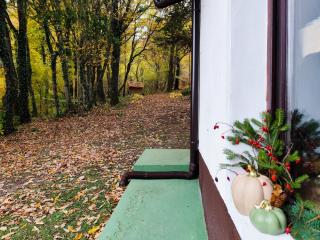 UNDER THE GREEN ROOF - 9