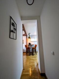 Zlatiborske noći - 7