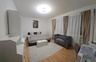 LaCasa-Mia Apartment Basel - Basilea - 9