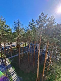 Apartman Zeleni vrhovi - 8