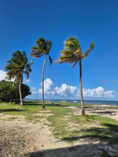 Cottage 15, Village de la Pointe - 7