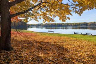 13 Mi to Slopes Elmira Cabin with Amenities - 8