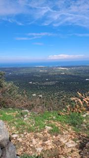 Caranna, Valle d'Itria, Puglia - 3