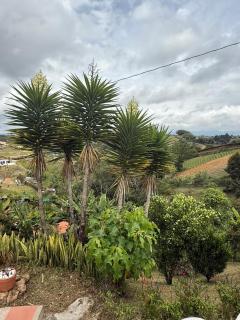 Encantadora finca en el corazón de Marinilla con vistas únicas y ubicación privilegiada - 8