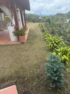 Encantadora finca en el corazón de Marinilla con vistas únicas y ubicación privilegiada - 3
