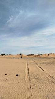 desert sand sahara erg - 3