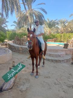 Siwa ajubar resort - 7