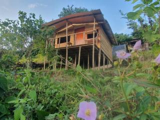 BiCa Eco-Village - 9