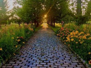 Incredibly Cozy Accommodation with Free Wi-Fi in Genoa, New York - 4