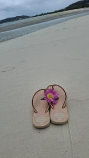 Belo apartamento a 50m da linda praia - 8