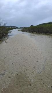 Belo apartamento a 50m da linda praia - 7