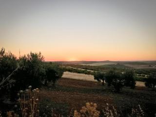 Modern Villa with Garden - 2