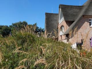 9 Böhler Brise Comfortable holiday residence - 8