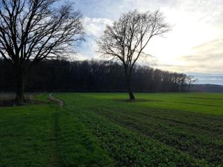 Cozy villa in the middle of the Achterhoek - 7