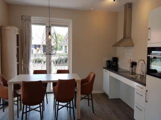 Cozy villa in the middle of the Achterhoek - 4