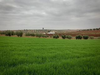 Cozy villa in the middle of the Achterhoek - 1
