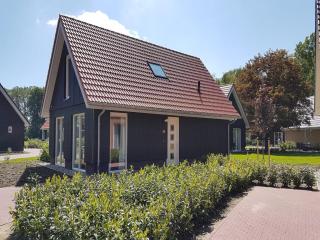 Cozy villa in the middle of the Achterhoek - 2