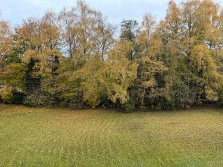 Modern Apartment with Excellent Hamburg Connection - 4