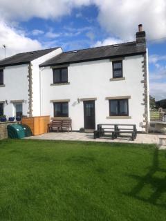 Mallard at Spring Head Farm - 7