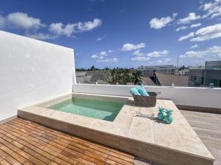 Cana Life Luxury Sky Pool Penthouse - 4