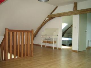 Gîte spacieux rénové en 1850 avec grand jardin, terrasse, jeux pour enfants et équipements modernes ! - FR-1-410-172 - 1